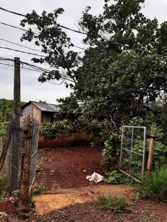 Kẹt tiền cần bán lô đất đẹp Bình Phước