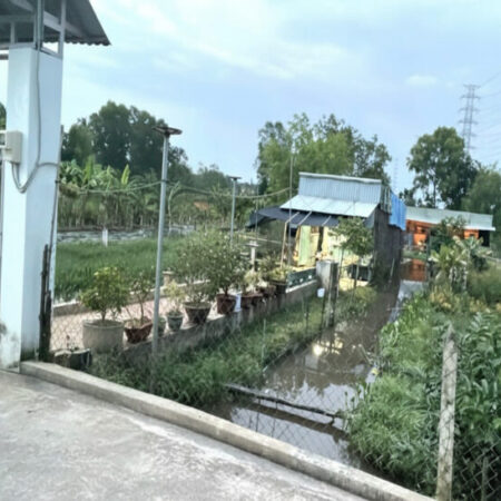 Đất Vuông SHR HXH 2798m2 – Đông Thạnh 2 Hóc Môn