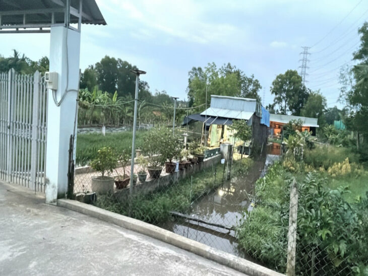 Đất Vuông SHR HXH 2798m2 – Đông Thạnh 2 Hóc Môn