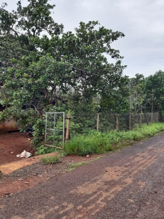 Kẹt tiền cần bán lô đất đẹp Bình Phước