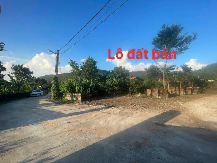 MỞ BÁN LÔ ĐẤT F0 SIÊU PHẨM , ĐẤT NGHỈ DƯỠNG TẠI ĐẠI ĐÌNH – TAM ĐẢO VĨNH PHÚC