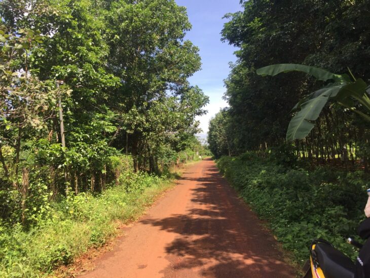 Kẹt tiền cần bán lô đất đẹp Bình Phước