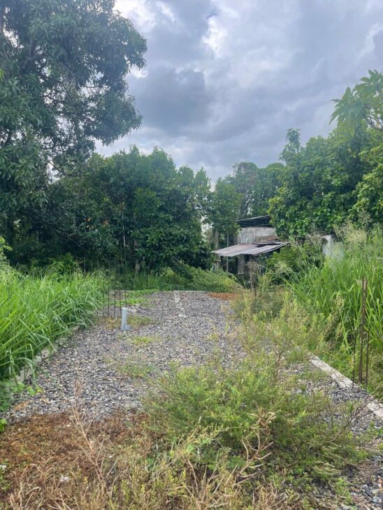 BÁN ĐẤT TẶNG BẢN THIẾT KẾ ĐÃ CÓ MÓNG SẪN THỊ TRẤN DIÊN KHÁNH