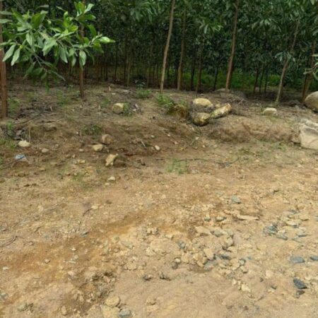 BÁN LÔ ĐẤT GIÁ CHỈ 180tr Dt:532,6m2 ( ngang 9m)