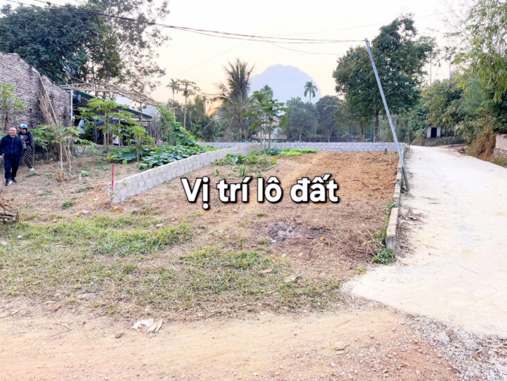 DUY NHẤT 2 LÔ VIP – ĐẤT THANH SƠN , LƯƠNG SƠN , HÒA BÌNH Chỉ từ 6xx triệu/1 lô
