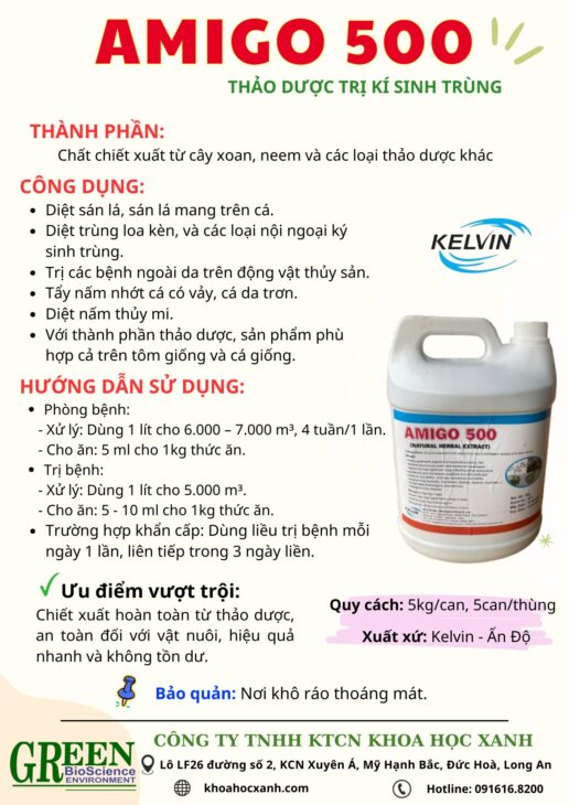 AMIGO 500 – thảo dược từ thiên nhiên đánh bay kí sinh trùng cá tôm
