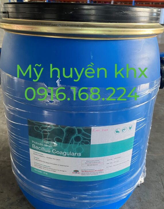 Nguyên liệu vi sinh đơn dòng hàm lượng đậm đặc