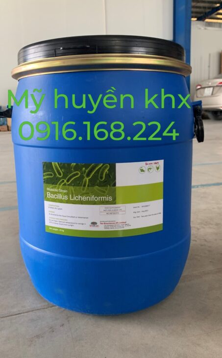 Nguyên liệu vi sinh đơn dòng hàm lượng đậm đặc