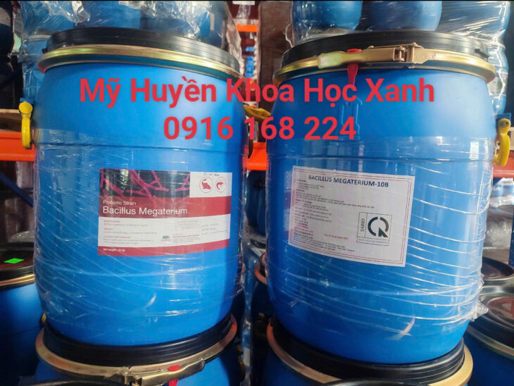 Nguyên liệu vi sinh đơn dòng hàm lượng đậm đặc