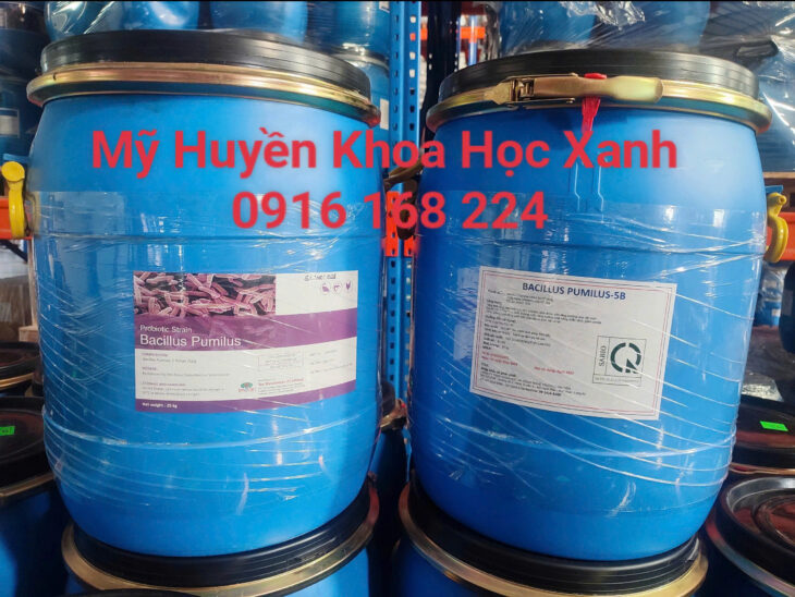 Nguyên liệu vi sinh đơn dòng hàm lượng đậm đặc