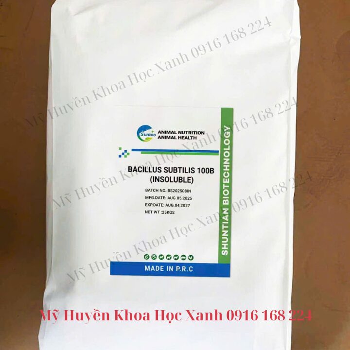 BACILLUS SUBTILIS 100 tỷ CFU/g – siêu lợi khuẩn hàm lượng đậm đặc