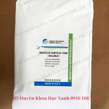BACILLUS SUBTILIS 100 tỷ CFU/g – siêu lợi khuẩn hàm lượng đậm đặc BACILLUS SUBTILIS 100 tỷ CFU/g – siêu lợi khuẩn hàm lượng đậm đặc