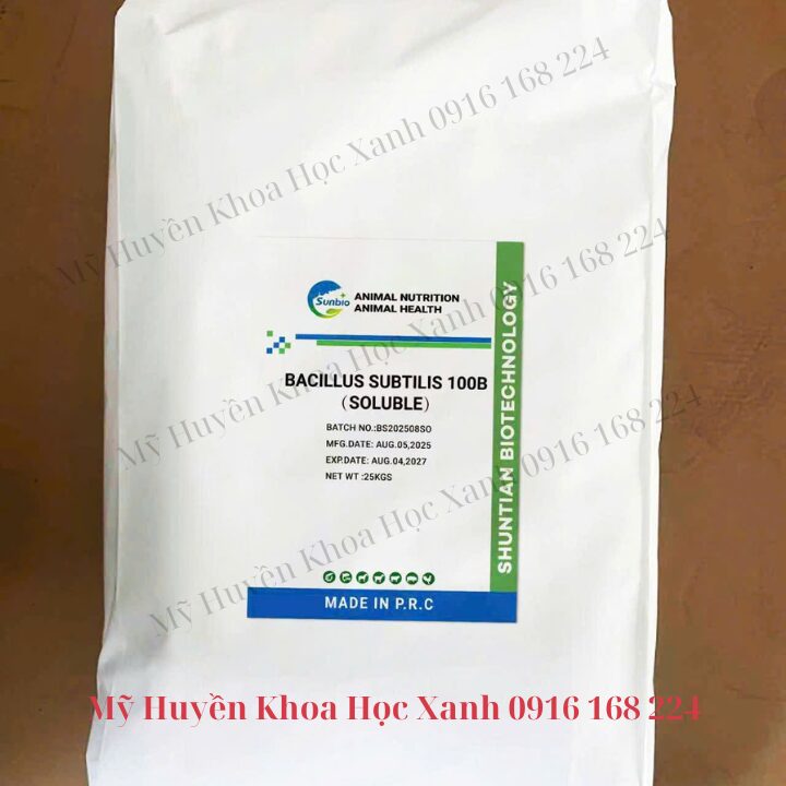 BACILLUS SUBTILIS 100 tỷ CFU/g – siêu lợi khuẩn hàm lượng đậm đặc