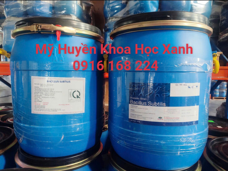 Nguyên liệu vi sinh đơn dòng hàm lượng đậm đặc