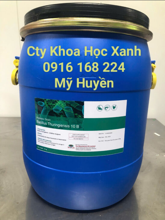 Nguyên liệu vi sinh đơn dòng hàm lượng đậm đặc