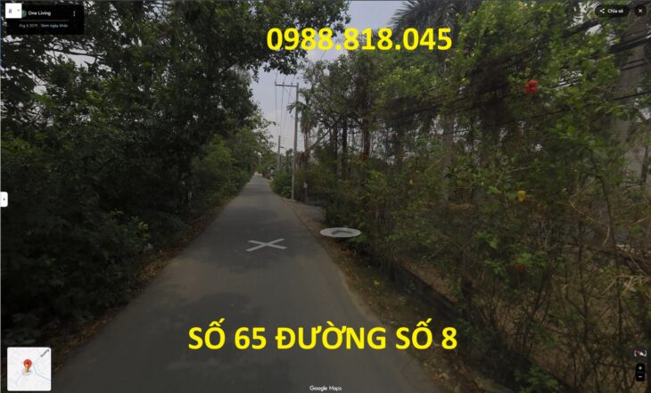 Bán đất đường số 8 phường Trường Thạnh , quận 9 (nay là quận Thủ Đức), TP. HCM, 2215m2, MT 38m, ô