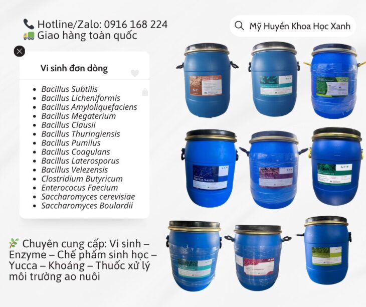 Nguyên liệu vi sinh đơn dòng hàm lượng đậm đặc