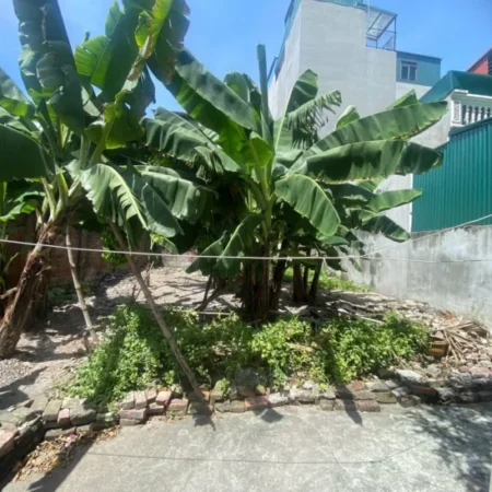 SIÊU HIẾM ĐÂT ĐẦU TƯ PHỐ Nguyễn Văn Linh 96 m2 mặt tiền 8.35 X 9.5 Tỷ Long Biên Hà Nội.