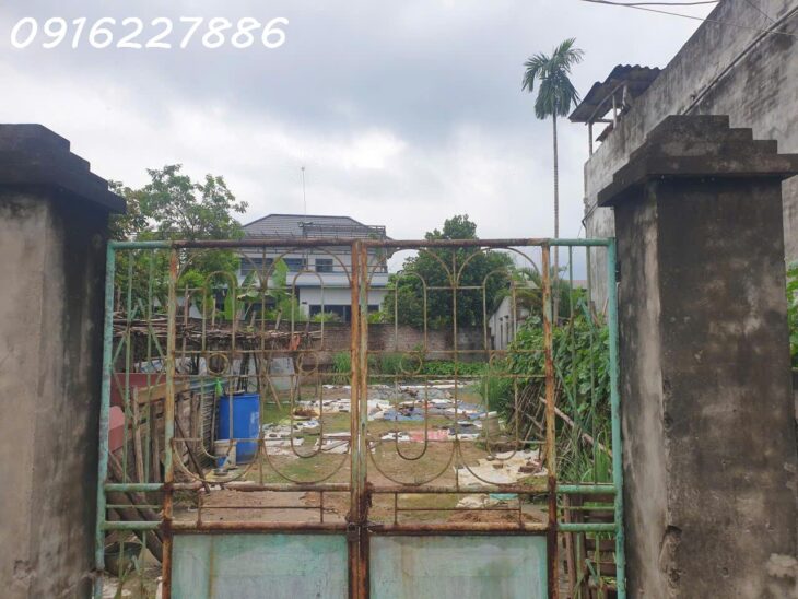 BÁN LÔ ĐẤT ĐẸP – XÃ LƯƠNG SƠN – GIÁ CHỈ HƠN 7,5 Tr/m²!
