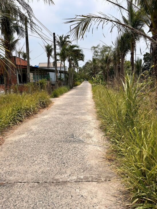 ĐẤT ĐẸP – GIÁ TỐT – CHÍNH CHỦ CẦN BÁN TẠI Đường Phú Hào, Xã Phú Hưng, tp Bến Tre, Bến Tre