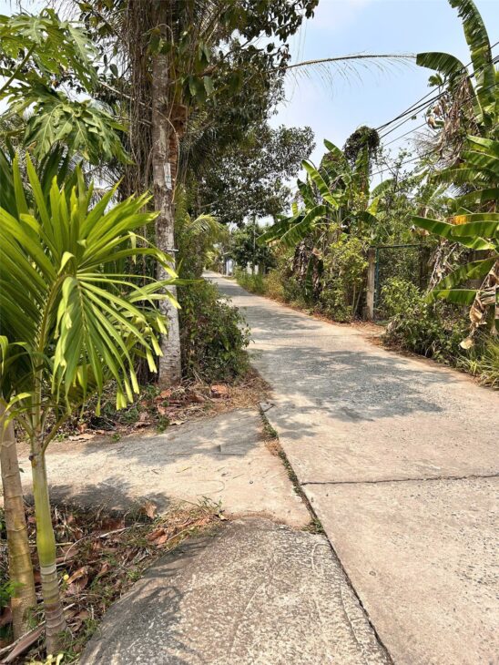 ĐẤT ĐẸP – GIÁ TỐT – CHÍNH CHỦ CẦN BÁN TẠI Đường Phú Hào, Xã Phú Hưng, tp Bến Tre, Bến Tre