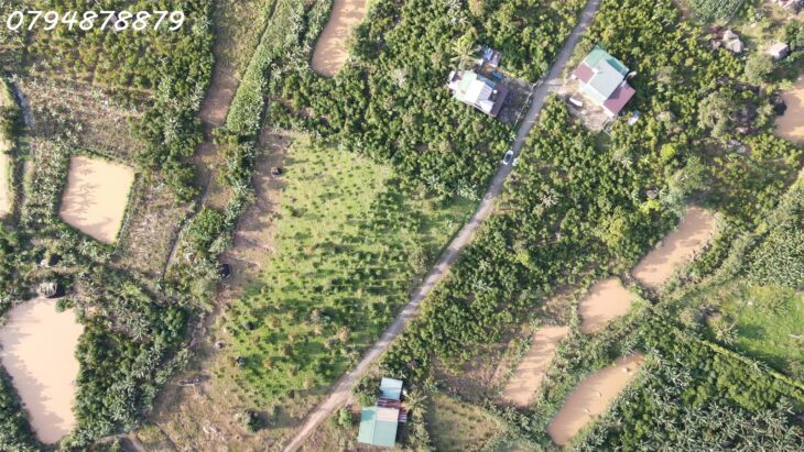CẦN BÁN ĐẤT LỘC ĐỨC – BẢO LỘC, LÂM ĐỒNG