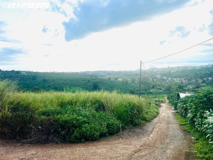 🌿 BÁN ĐẤT TÂN CHÂU – VỊ TRÍ ĐẸP, GẦN QL20, TIỆN ÍCH ĐẦY ĐỦ