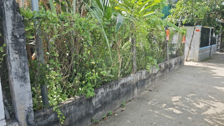 BÁN ĐẤT THỔ CƯ Đường LÊ VĂN LƯƠNG, XÃ LONG HẬU, HUYỆN CẦN GIUỘC, LONG AN (cũ)