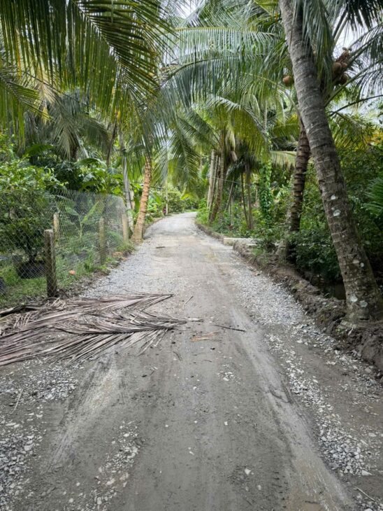 ĐẤT ĐẸP – GIÁ TỐT – CHÍNH CHỦ CẦN BÁN Tại ấp Vĩnh Phú, xã Vĩnh Kim, Châu Thành, Tiền Giang