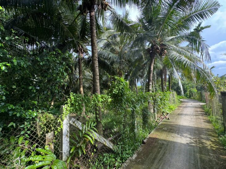 ĐẤT ĐẸP – GIÁ TỐT – CHÍNH CHỦ CẦN BÁN Tại ấp Vĩnh Phú, xã Vĩnh Kim, Châu Thành, Tiền Giang