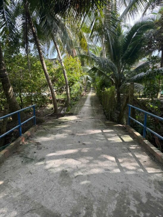 ĐẤT ĐẸP – GIÁ TỐT – CHÍNH CHỦ CẦN BÁN Tại ấp Vĩnh Phú, xã Vĩnh Kim, Châu Thành, Tiền Giang