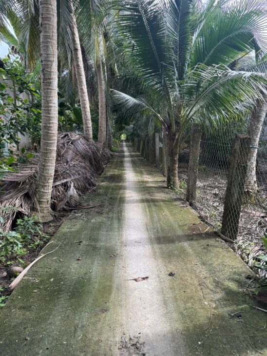 ĐẤT ĐẸP – GIÁ TỐT – CHÍNH CHỦ CẦN BÁN Tại ấp Vĩnh Phú, xã Vĩnh Kim, Châu Thành, Tiền Giang