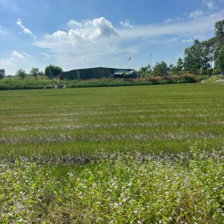 ĐẤT ĐẸP – GIÁ TỐT – Bán GẤP Lô Đất Tiềm Năng Tại Xã Thắng Hải Hàm Tân Bình Thuận(cũ)