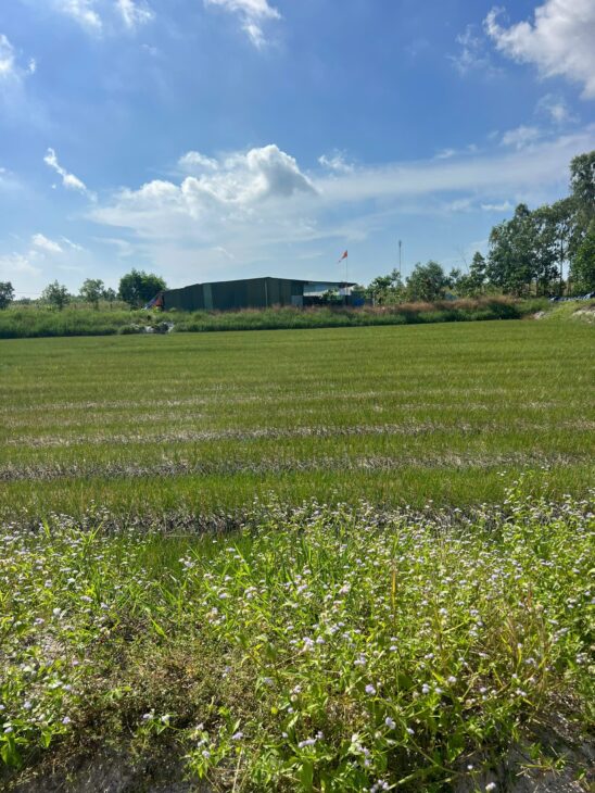 ĐẤT ĐẸP – GIÁ TỐT – Bán GẤP Lô Đất Tiềm Năng Tại Xã Thắng Hải Hàm Tân Bình Thuận(cũ)