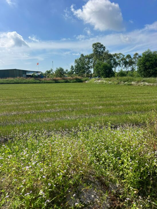 ĐẤT ĐẸP – GIÁ TỐT – Bán GẤP Lô Đất Tiềm Năng Tại Xã Thắng Hải Hàm Tân Bình Thuận(cũ)