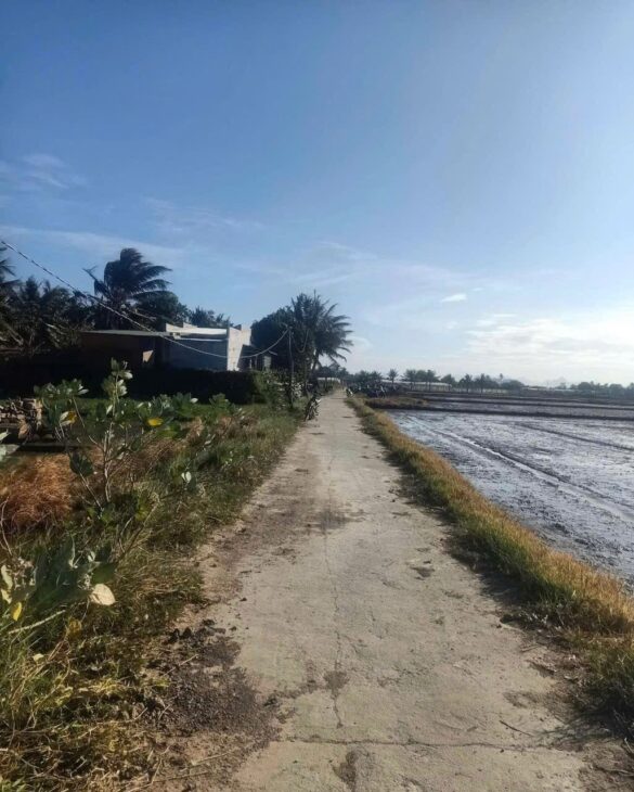 CHÍNH CHỦ Bán Đất Nông Nghiệp Văn Hải – 2 Lô Liền Kề Văn Hải, TP Phan Rang – Tháp Chàm, Ninh Thuận