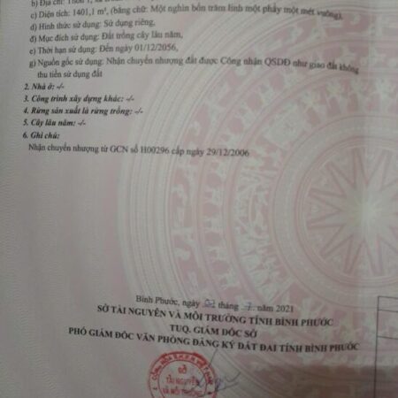 BÁN 9 HÉC CAO SU & ĐIỀU – THỰC TẾ GẦN 10 HÉC – BÙ ĐĂNG, BP, 5,8 TỶ