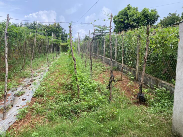 ĐẤT CHÍNH CHỦ- GIÁ TỐT CẦN BÁN LÔ ĐẤT Đường Số 2, Cư ÊBur, phừơng Buôn Ma Thuột, Đắk Lắk