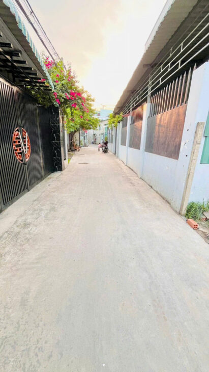 BÁN ĐẤT 12 x 13M SHR XÂY BIỆT THỰ MINI – THỚI TAM THÔN, HÓC MÔN ĐƯỜNG XE TẢI