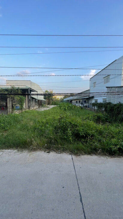 Chính chủ bán đất thổ + vườn Đường Rạch Cát,Lương Bình, Bến Lức, Long An