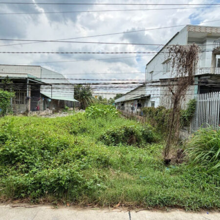 Chính chủ bán đất thổ + vườn Đường Rạch Cát,Lương Bình, Bến Lức, Long An