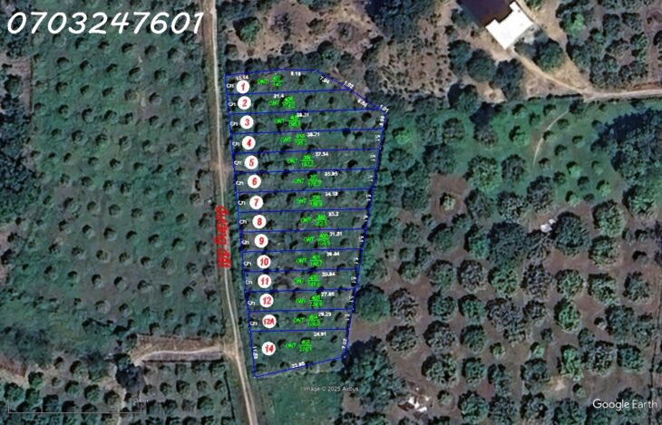 BÁN ĐẤT NỀN TẠI CAM LÂM KHÁNH HÒA GẦN KHU CÔNG NGHIỆP SUỐI DẦU