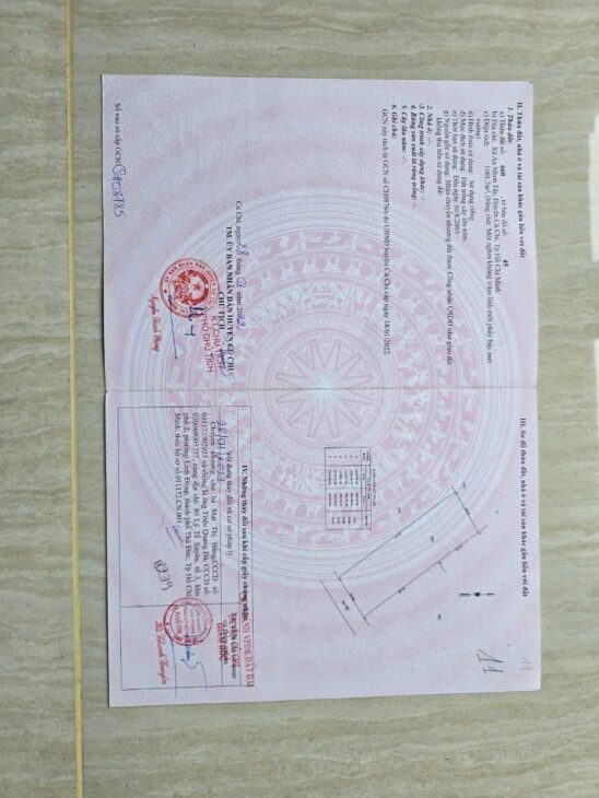 HOT HOT – CẦN BÁN LÔ ĐẤT TRỒNG CÂY LÂU BÁN TẠI Ấp Cây Sộp, Tân An Hội, Huyện Củ Chi, HCM