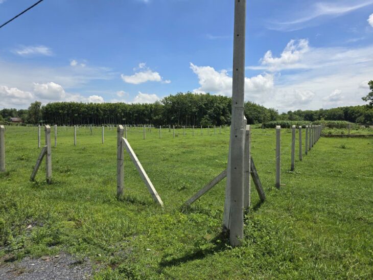 HOT HOT – CẦN BÁN LÔ ĐẤT TRỒNG CÂY LÂU BÁN TẠI Ấp Cây Sộp, Tân An Hội, Huyện Củ Chi, HCM