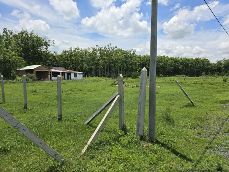 HOT HOT – CẦN BÁN LÔ ĐẤT TRỒNG CÂY LÂU BÁN TẠI Ấp Cây Sộp, Tân An Hội, Huyện Củ Chi, HCM