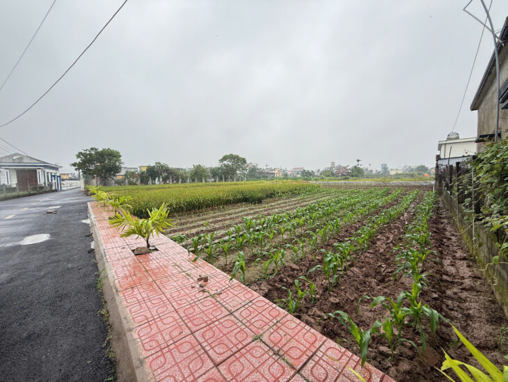 Chính chủ bán đất quất lâm 90m2 gần Quảng trường biển và KCN hiện hữu hơn 1 tỷ