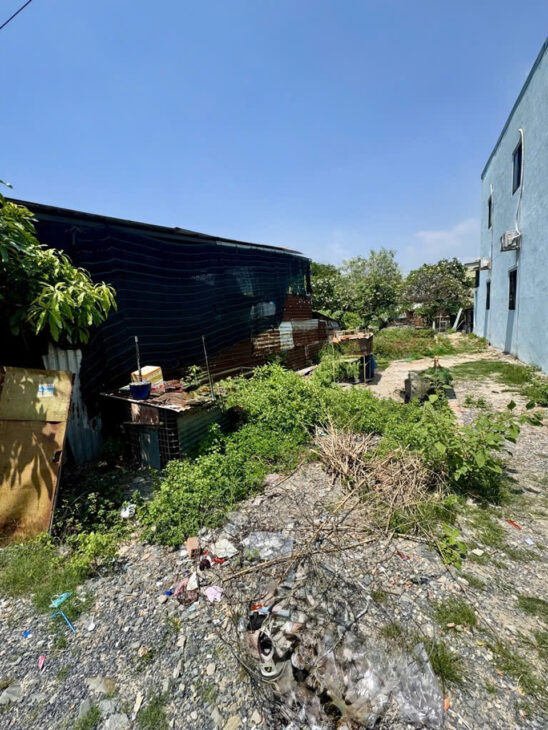 Đất Vuông SHR 100m2 – Huỳnh Thị Mài Hóc Môn S