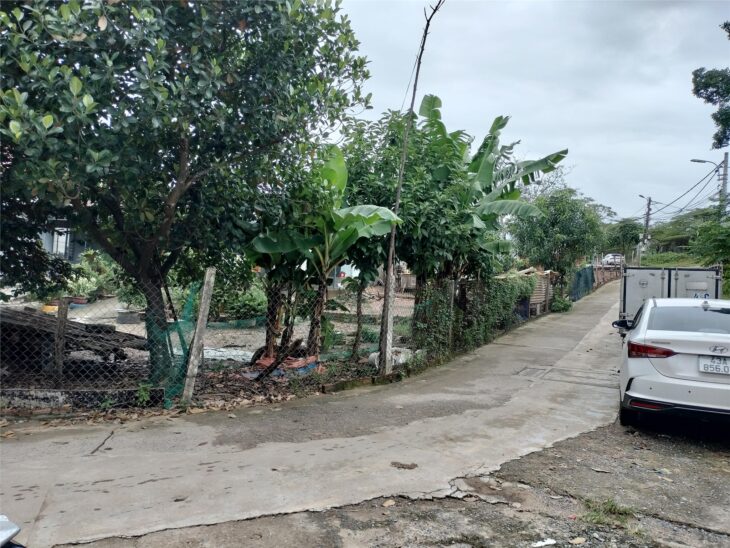 🌟 ĐẤT ĐẸP HÒA THỌ TÂY – VỊ TRÍ TRUNG TÂM, CAO RÁO – CHỈ 2,15 TỶ!