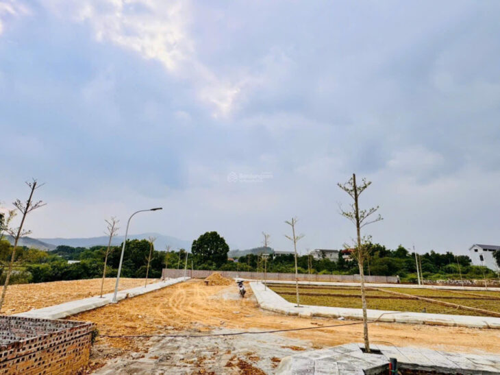 Bán đất thổ cư 100m2 mặt đường 21A, Phú Cát, Quốc Oai, Hà Nội. Sổ đỏ, giá 3 tỷ. LH: 0944090291