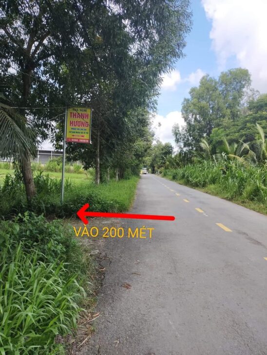 Bán đất nền Phú Tân – TP Bến Tre 300m2, giá chỉ 3.2 triệu/m2, gần chợ Tú Điền